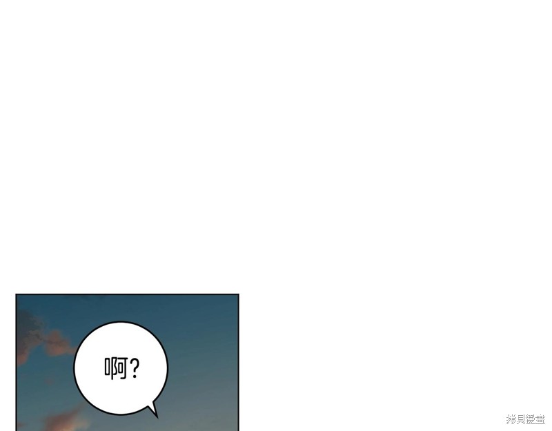 第223页