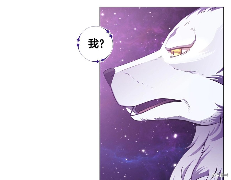 第216页