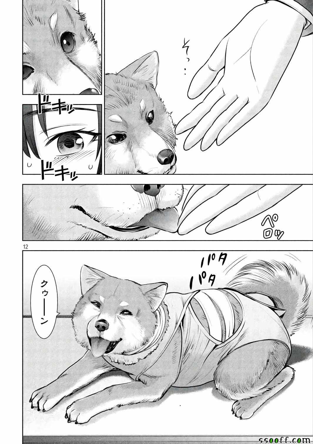 第12页