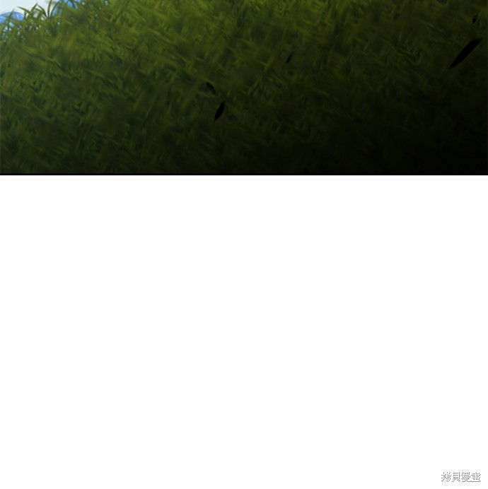 第244页