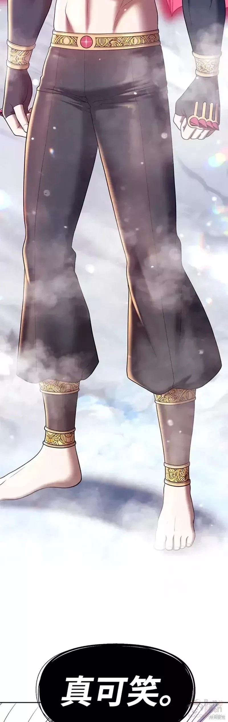 第113页