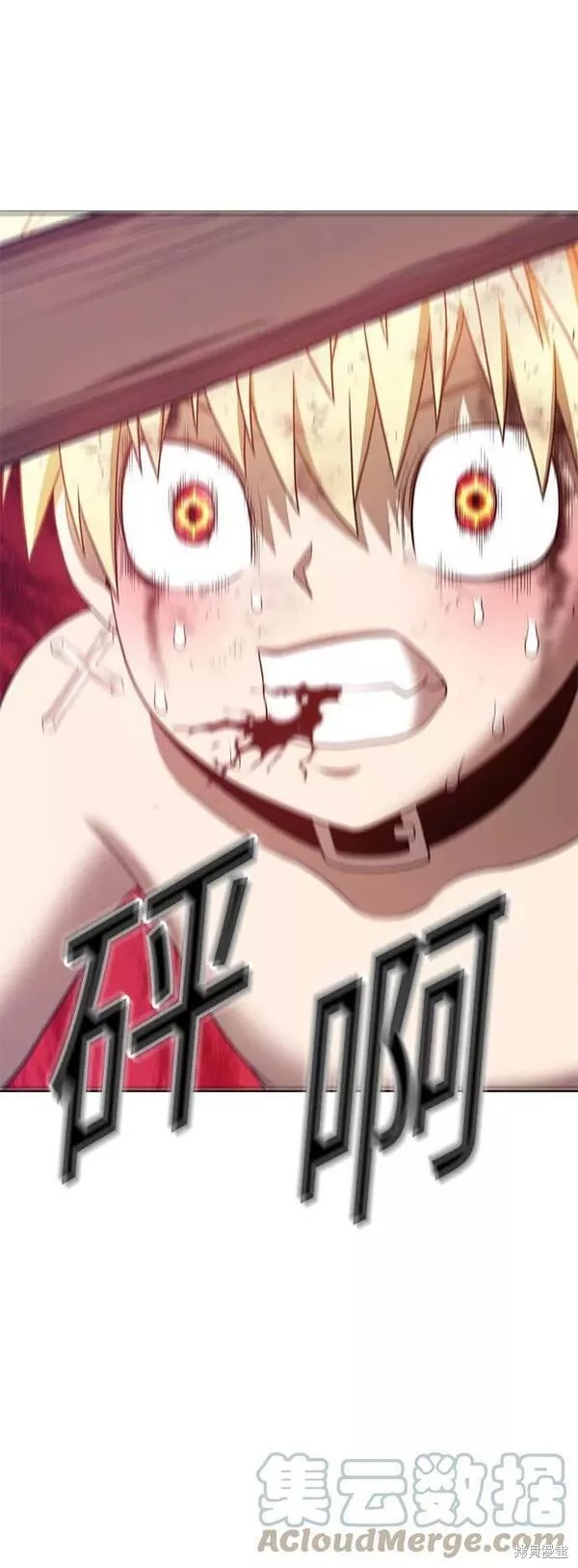 第229页