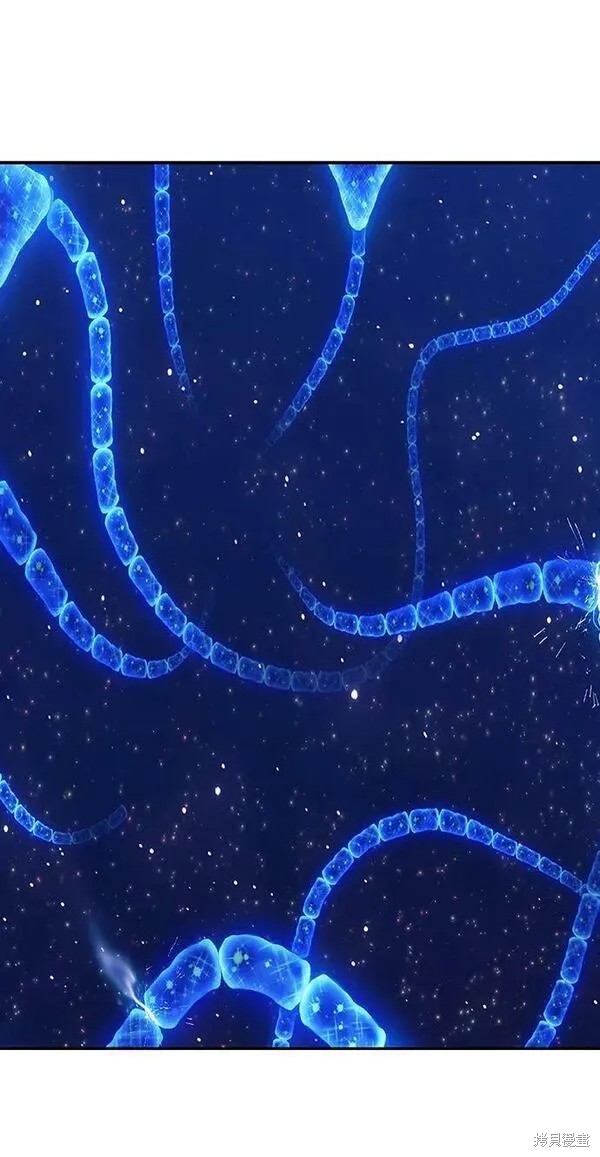 第259页