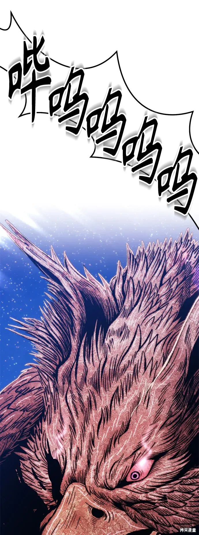 第216页