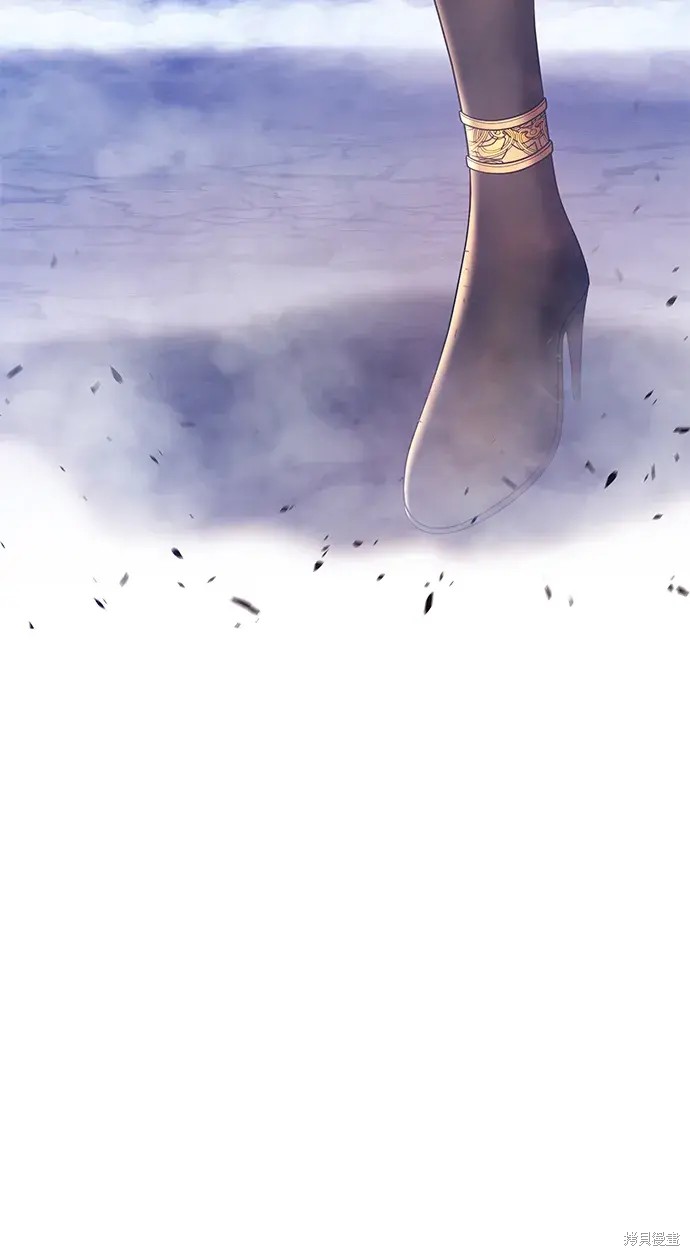 第239页